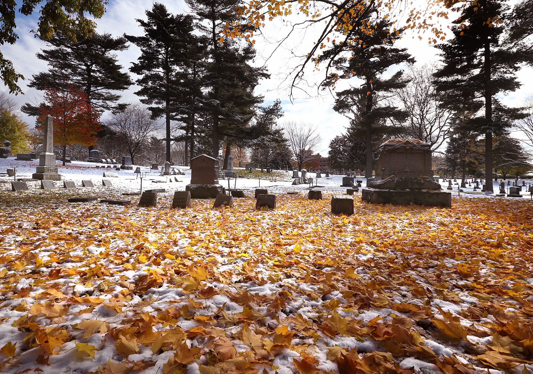 Oak Grove Cemetery